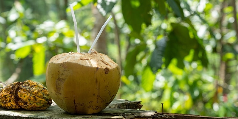 Les bienfaits de l'eau de coco, riche en minéraux